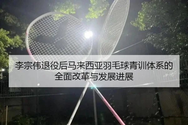 李宗伟退役后马来西亚羽毛球青训体系的全面改革与发展进展